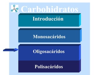 Carbohidratos Introducción  Monosacáridos Polisacáridos Oligosacáridos 