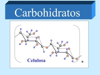 Carbohidratos
Celulosa n
 