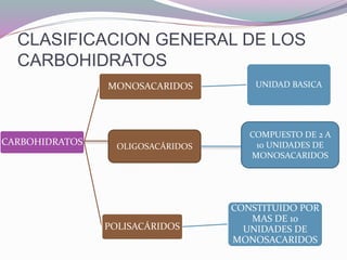 CLASIFICACION GENERAL DE LOS
CARBOHIDRATOS
CARBOHIDRATOS
MONOSACARIDOS UNIDAD BASICA
POLISACÁRIDOS
CONSTITUIDO POR
MAS DE 10
UNIDADES DE
MONOSACARIDOS
OLIGOSACÁRIDOS
COMPUESTO DE 2 A
10 UNIDADES DE
MONOSACARIDOS
 