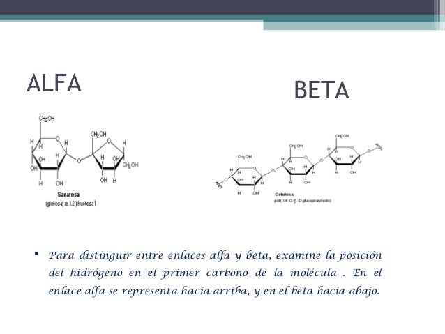 Carbohidratos1 (1)