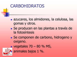CARBOHIDRATOS
 azucares, los almidones, la celulosa, las
gomas y otros.
 Se producen en las plantas a través de
la fotosíntesis
 Se componen de carbono, hidrogeno y
oxigeno.
 vegetales 70 – 80 % MS,
 animales bajos 1 %.
 