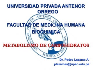 UNIVERSIDAD PRIVADA ANTENOR
ORREGO
FACULTAD DE MEDICINA HUMANA
BIOQUIMICA
METABOLISMO DE CARBOHIDRATOS
Dr. Pedro Lezama A.
plezamaa@upao.edu.pe
 