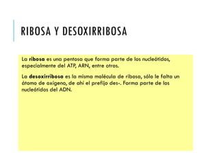 RIBOSA Y DESOXIRRIBOSA
La ribosa es una pentosa que forma parte de los nucleótidos,
especialmente del ATP, ARN, entre otros.
La desoxirribosa es la misma molécula de ribosa, sólo le falta un
átomo de oxígeno, de ahí el prefijo des-. Forma parte de los
nucleótidos del ADN.
 