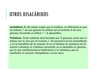 OTROS DISACÁRIDOS
Isomaltosa. Es del mismo origen que la maltosa. La diferencia es que
el carbono 1 de una glucosa se enlaza con el carbono 6 de otra
glucosa, formando un enlace 1 – 6 glucosídico.
Trehalosa. Cada molécula esta formada por 2 glucosas, cada una se
enlaza con la otra por el carbono 1. Se encuentra en los champiñones
y en la hemolinfa de los insectos. Si en el intestino no contamos con la
enzima trehalasa, la trehalosa consumida no se desdobla en glucosa,
por lo que menifestaríamos intolerancia a la trehalosa, que se
manifiesta al consumir champiñones u otras setas.
 
