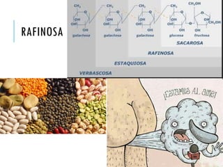 RAFINOSA
 