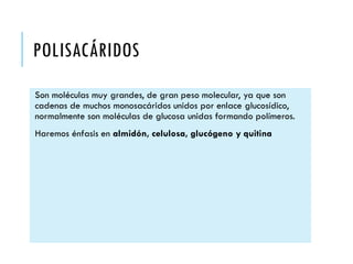 POLISACÁRIDOS
Son moléculas muy grandes, de gran peso molecular, ya que son
cadenas de muchos monosacáridos unidos por enlace glucosídico,
normalmente son moléculas de glucosa unidas formando polímeros.
Haremos énfasis en almidón, celulosa, glucógeno y quitina
 