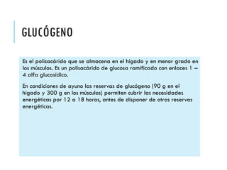 GLUCÓGENO
Es el polisacárido que se almacena en el hígado y en menor grado en
los músculos. Es un polisacárido de glucosa ramificado con enlaces 1 –
4 alfa glucosídico.
En condiciones de ayuno las reservas de glucógeno (90 g en el
hígado y 300 g en los músculos) permiten cubrir las necesidades
energéticas por 12 a 18 horas, antes de disponer de otras reservas
energéticas.
 