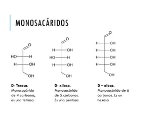 MONOSACÁRIDOS
OH
O
OH H
H OH
D- Treosa.
Monosacárido
de 4 carbonos,
es una tetrosa
OH
O
H OH
OH H
H OH
D- xilosa.
Monosacárido
de 5 carbonos.
Es una pentosa
OH
O
H OH
H OH
H OH
H OH
D – alosa.
Monosacárido de 6
carbonos. Es un
hexosa
 