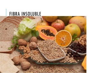 FIBRA INSOLUBLE
 