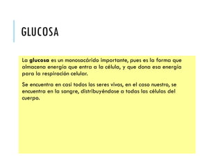 GLUCOSA
La glucosa es un monosacárido importante, pues es la forma que
almacena energía que entra a la célula, y que dona esa energía
para la respiración celular.
Se encuentra en casi todos los seres vivos, en el caso nuestro, se
encuentra en la sangre, distribuyéndose a todas las células del
cuerpo.
 