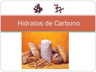Hidratos de Carbono
 