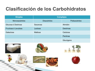Clasificación de los Carbohidratos
            Simples                              Complejos

        Monosacáridos              Disacáridos                   Polisacáridos

Glucosa ó Dextrosa      Sacarosa                      Almidón

Fructosa ó Levulosa     Lactosa                       Dextrinas

Galactosa               Maltosa                       Celulosa

                                                      Pectinas

                                                      Glucógeno
 