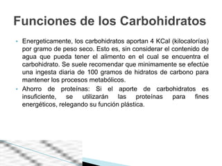Funciones de los Carbohidratos
• Energeticamente, los carbohidratos aportan 4 KCal (kilocalorías)
  por gramo de peso seco. Esto es, sin considerar el contenido de
  agua que pueda tener el alimento en el cual se encuentra el
  carbohidrato. Se suele recomendar que minimamente se efectúe
  una ingesta diaria de 100 gramos de hidratos de carbono para
  mantener los procesos metabólicos.
• Ahorro de proteínas: Si el aporte de carbohidratos es
  insuficiente, se utilizarán las proteínas para fines
  energéticos, relegando su función plástica.
 