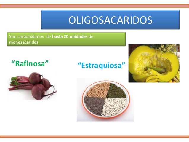 Disacaridos Ejemplos De Alimentos Que Los Contienen