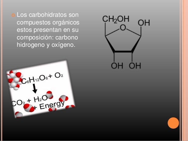 Carbohidratos estructura