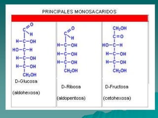 Hexosas 