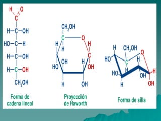 ESTRUCTURAS DE LA GLUCOSA 