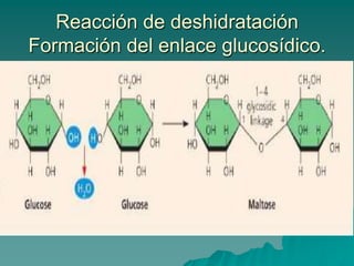 CARBOHIDRATOS DE IMPORTANCIA FUNCIONALDesoxiazúcaresInositol