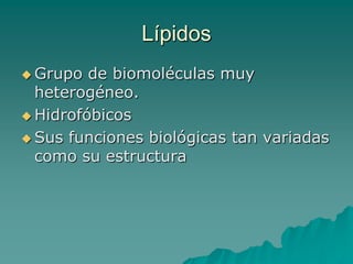 POLISACARIDOSLa estructura de la celulosa se forma por la unión de moléculas de β-glucosa a través de enlaces β-1,4-glucosídico. La celulosa es una larga cadena polimérica de peso molecular variable, con