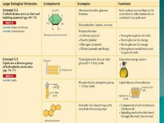 EsteroidesSu estructura característica son Cuatro heterociclos unidos o fusionados.Los esteroides se  diferencian  entre sí por los grupos funcionales que tengan unidos a los cuatro anillos