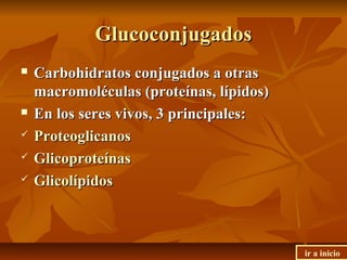 GlucoconjugadosGlucoconjugados
 Carbohidratos conjugados a otrasCarbohidratos conjugados a otras
macromoléculas (proteínas, lípidos)macromoléculas (proteínas, lípidos)
 En los seres vivos, 3 principales:En los seres vivos, 3 principales:
 ProteoglicanosProteoglicanos
 GlicoproteínasGlicoproteínas
 GlicolípidosGlicolípidos
ir a inicio
 