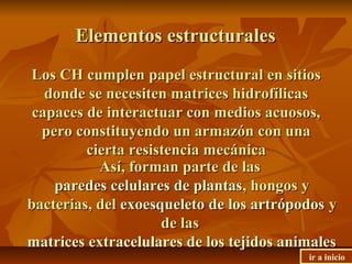 Los CH cumplen papel estructural en sitiosLos CH cumplen papel estructural en sitios
donde se necesiten matrices hidrofílicasdonde se necesiten matrices hidrofílicas
capaces de interactuar con medios acuosos,capaces de interactuar con medios acuosos,
pero constituyendo un armazón con unapero constituyendo un armazón con una
cierta resistencia mecánicacierta resistencia mecánica
Así, forman parte de lasAsí, forman parte de las
paredes celulares de plantasparedes celulares de plantas, hongos y, hongos y
bacterias, delbacterias, del exoesqueleto de los artrópodosexoesqueleto de los artrópodos yy
de lasde las
matrices extracelulares de los tejidos animalesmatrices extracelulares de los tejidos animales
Elementos estructuralesElementos estructurales
ir a inicio
 