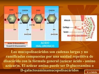 Los mucopolisacáridos son cadenas largas y no
ramificadas compuestas por una unidad repetitiva de
disacárido con la fórmula general (azúcar ácido - amino
azúcar)n. El azúcar amino puede ser D-glucosamina o
D-galactosaminamucopolisacáridos ir a inicio
 