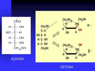 ALDOSA
CETOSA
 