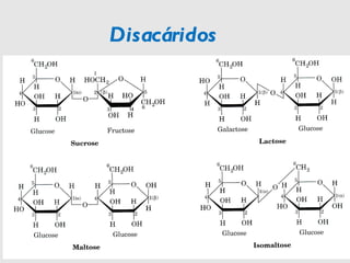 Disacáridos 