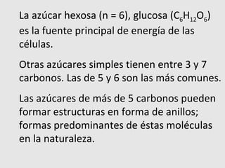 La azúcar hexosa (n = 6), glucosa (C 6 H 12 O 6 ) es la fuente principal de energía de las células.  Otras azúcares simples tienen entre 3 y 7 carbonos. Las de 5 y 6 son las más comunes. Las azúcares de más de 5 carbonos pueden formar estructuras en forma de anillos; formas predominantes de éstas moléculas en la naturaleza. 