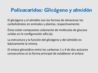 Polisacaridos: Glicógeno y almidón El glicógeno y el almidón son las formas de almacenar los carbohidratos en animales y plantas, respectivamente. Éstos están compuestos solamente de moléculas de glucosa unidas en la configuración alfa ( α ). La estructura y la función del glicógeno y del almidón es básicamente la misma. El enlace glicosídico entre los carbonos 1 y 4 de dos azúcares consecutivos es la forma principal de establecer el enlace. 