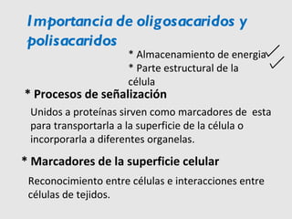 * Procesos de señalización Importancia de oligosacaridos y polisacaridos Unidos a proteínas sirven como marcadores de  esta para transportarla a la superficie de la célula o incorporarla a diferentes organelas. * Almacenamiento de energia  * Parte estructural de la célula * Marcadores de la superficie celular Reconocimiento entre células e interacciones entre células de tejidos. 