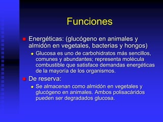 Funciones
 Energéticas: (glucógeno en animales y
almidón en vegetales, bacterias y hongos)
 Glucosa es uno de carbohidratos más sencillos,
comunes y abundantes; representa molécula
combustible que satisface demandas energéticas
de la mayoría de los organismos.
 De reserva:
 Se almacenan como almidón en vegetales y
glucógeno en animales. Ambos polisacáridos
pueden ser degradados glucosa.
 