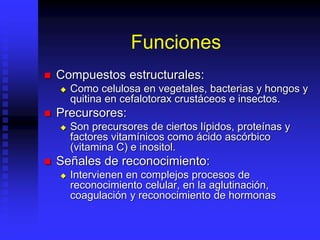 Funciones
 Compuestos estructurales:
 Como celulosa en vegetales, bacterias y hongos y
quitina en cefalotorax crustáceos e insectos.
 Precursores:
 Son precursores de ciertos lípidos, proteínas y
factores vitamínicos como ácido ascórbico
(vitamina C) e inositol.
 Señales de reconocimiento:
 Intervienen en complejos procesos de
reconocimiento celular, en la aglutinación,
coagulación y reconocimiento de hormonas
 