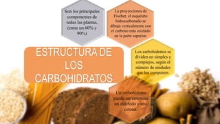 ESTRUCTURA DE
LOS
CARBOHIDRATOS
Son los principales
componentes de
todas las plantas,
(entre un 60% y
90%)
La proyecciones de
Fischer, el esqueleto
hidrocarbonado se
dibuja verticalmente con
el carbono más oxidado
en la parte superior.
Un carbohidrato
puede ser entonces
un aldehído o una
cetona.
Los carbohidratos se
dividen en simples y
complejos, según el
número de unidades
que los componen.
 