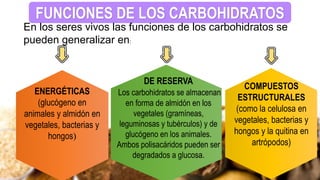 FUNCIONES DE LOS CARBOHIDRATOS
En los seres vivos las funciones de los carbohidratos se
pueden generalizar en:
ENERGÉTICAS
(glucógeno en
animales y almidón en
vegetales, bacterias y
hongos)
DE RESERVA
Los carbohidratos se almacenan
en forma de almidón en los
vegetales (gramíneas,
leguminosas y tubérculos) y de
glucógeno en los animales.
Ambos polisacáridos pueden ser
degradados a glucosa.
COMPUESTOS
ESTRUCTURALES
(como la celulosa en
vegetales, bacterias y
hongos y la quitina en
artrópodos)
 
