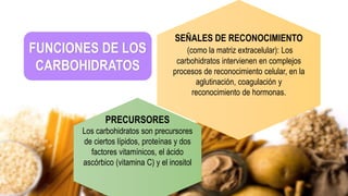 FUNCIONES DE LOS
CARBOHIDRATOS
PRECURSORES
Los carbohidratos son precursores
de ciertos lípidos, proteínas y dos
factores vitamínicos, el ácido
ascórbico (vitamina C) y el inositol
SEÑALES DE RECONOCIMIENTO
(como la matriz extracelular): Los
carbohidratos intervienen en complejos
procesos de reconocimiento celular, en la
aglutinación, coagulación y
reconocimiento de hormonas.
 