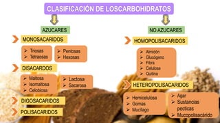 CLASIFICACIÓN DE LOSCARBOHIDRATOS
AZUCARES NO AZUCARES
DISACARDOS
DIGOSACARIDOS
POLISACARIDOS
HOMOPOLISACARIDOS
HETEROPOLISACARIDOS
MONOSACARIDOS
 Triosas
 Tetraosas
 Maltosa
 Isomaltosa
 Celobiosa
 Almidón
 Glucógeno
 Fibra
 Celulosa
 Quitina
 Hemicelulosa
 Gomas
 Mucílago
 Agar
 Sustancias
pecticas
 Mucopolisacárido
 Pentosas
 Hexosas
 Lactosa
 Sacarosa
 