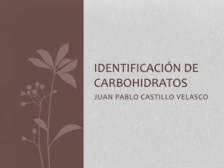 JUAN PABLO CASTILLO VELASCO
IDENTIFICACIÓN DE
CARBOHIDRATOS
 