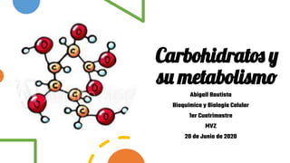 Carbohidratos y
su metabolismo
Abigail Bautista
Bioquímica y Biología Celular
1er Cuatrimestre
MVZ
20 de Junio de 2020
 