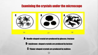 A- Needle-shaped crystal are produced by glucose, fructose
B-mushroom- shaped crystals are produced by lactose
C-Flower-shaped crystals are produced by maltose.
C B A
Examining the crystals under the microscope
 