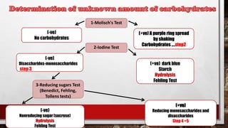 1-Molisch's Test
(+ve) A purple ring spread
by shaking
Carbohydrates ….step2
(-ve)
No carbohydrates
2-Iodine Test
(+ve) dark blue
Starch
Hydrolysis
Fehling Test
(-ve)
Disaccharides-monosaccharides
step 3
3-Reducing sugars Test
(Benedict, Fehling,
Tollens tests)
(-ve)
Nonreducing sugar (sucrose)
Hydrolysis
Fehling Test
(+ve)
Reducing monosaccharides and
disaccharides
Step 4 +5
 