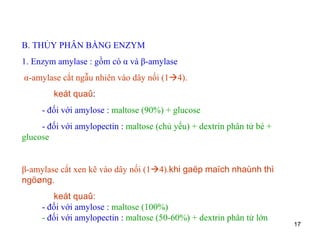 B. THỦY PHÂN BẰNG ENZYM 1. Enzym amylase : gồm có  α  và  β -amylase  α -amylase cắt ngẫu nhiên vào dây nối (1  4). keát quaû : - đối với amylose :  maltose (90%) + glucose   - đối với amylopectin :  maltose (chủ yếu) + dextrin phân tử bé + glucose   β -amylase cắt xen kẽ vào dây nối (1  4). khi gaëp maïch nhaùnh thì ngöøng. keát quaû: - đối với amylose :  maltose (100%) -  đối với amylopectin :  maltose (50-60%) + dextrin phân tử lớn 