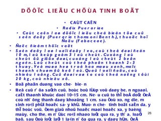 DÖÔÏC LIEÄU CHÖÙA TINH BOÄT CAÙT CAÊN Radix Puerariae Caùt caên laø döôïc lieäu cheá bieán töø cuû saén daây (Pueraria thomsoni Benth.), thuoäc hoï Ñaäu (Fabaceae). Ñaëc ñieåm thöïc vaät Saén daây laø loaïi daây leo, coù theå daøi ñeán 10 m, laù keùp goàm 3 laù cheùt. Cuoáng laù cheùt ôû giöõa daøi, cuoáng laù cheùt 2 beân ngaén. Laù cheùt coù theå phaân thaønh 2-3 thuøy. Veà muøa heø troå hoa maøu xanh, moïc thaønh chuøm ôû keõ laù. Quaû loaïi ñaäu, coù nhieàu loâng. Cuû daøi vaø to coù theå naëng tôùi 20 kg, coù nhieàu xô.   Boä phaän duøng vaø cheá bieán Reã cuû röõa saïch cuû, boùc boû lôùp voû daøy beân ngoaøi, caét thaønh khuùc daøi 10-15 cm. Neáu cuû to thì boå doïc ñeå coù nhöõng thanh daøy khoaûng 1 cm, sau ñoù xoâng dieâm sinh roài phôi hoaëc saáy khô. Muoán cheá tinh boät saén daây thì boùc voû, ñem giaû nhoû hoaëc maøi hoaëc xaây baèng maùy, cho theâm nöôùc roài nhaøo loïc qua raây thöa, loaïi baõ, sau ñoù loïc laïi 1 laàn nöõa qua raây daøy hôn, ñeå laéng, gaïn laáy tinh boät roài ñem phôi hoaëc saáy khoâ.  