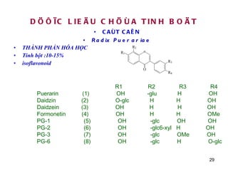 DÖÔÏC LIEÄU CHÖÙA TINH BOÄT CAÙT CAÊN Radix Puerariae THÀNH PHẦN HÓA HỌC Tinh bột :10-15% isoflavonoid R1  R2  R3  R4  Puerarin  (1)  OH  -glu  H  OH Daidzin  (2)  O-glc  H  H  OH Daidzein  (3)  OH  H  H  OH  Formonetin  (4)  OH  H  H  OMe PG-1  (5)  OH  -glc  OH  OH PG-2  (6)  OH  -glc6-xyl  H  OH  PG-3  (7)  OH  -glc  OMe  OH  PG-6  (8)  OH  -glc  H  O-glc  