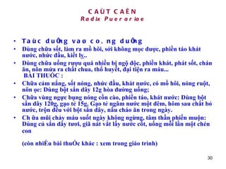 CAÙT CAÊN Radix Puerariae Taùc duïng vaø coâng duïng Dùng chữa sốt, làm ra mồ hôi, sởi không mọc được, phiền táo khát nước, nhức đầu, kiết lỵ..   Dùng chữa uống rượu quá nhiều bị ngộ độc, phiền khát, phát sốt, chán ăn, nôn mửa ra chất chua, thổ huyết, đại tiện ra máu...  BÀI THUỐC : Chữa cảm nắng, sốt nóng, nhức đầu, khát nước, có mồ hôi, nóng ruột, nôn ọe: Dùng bột sắn dây 12g hòa đường uống;  Chữa vùng ngực bụng nóng cồn cào, phiền táo, khát nước: Dùng bột sắn dây 120g, gạo tẻ 15g. Gạo tẻ ngâm nước một đêm, hôm sau chắt bỏ nước, trộn đều với bột sắn dây, nấu cháo ăn trong ngày. Ch ữa mũi chảy máu suốt ngày không ngừng, tâm thần phiền muộn: Dùng củ sắn dây tươi, giã nát vắt lấy nước cốt, uống mỗi lần một chén con   (còn nhiỀu bài thuỐc khác : xem trong giáo trình) 