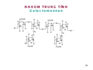 NHOÙM TRUNG TÍNH  Galactomannan 
