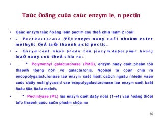 Taùc ñoäng cuûa caùc enzym leân pectin Caùc enzym taùc ñoäng leân pectin coù theå chia laøm 2 loaïi: -  Pectinesterase (PE):  enzym naøy caét nhoùm ester methylic ñeå taïo thaønh acid pectic. -  Enzym caét nhoû phaân töû (enzym depolymer hoaù),  loaïi naøy coù theå chia ra: *  Polymethyl galacturonase (PMG),  enzym naøy caét phaân töû thaønh töøng ñôn vò galacturonic. Ngöôøi ta coøn chia ra endopolygalacturonase laø enzym caét moät caùch ngaãu nhieân vaøo caùc daây noái glycosid vaø exopolygalacturonase laø enzym caét baét ñaàu töø ñaàu maïch. *  Pectinlyase (PL)  laø enzym caét daây noái (1  4) vaø ñoàng thôøi taïo thaønh caùc saûn phaåm chöa no  