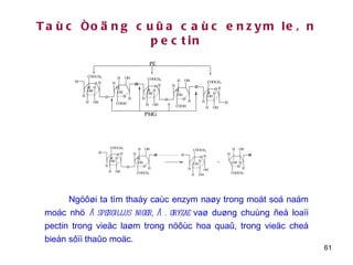 Taùc ñoäng cuûa caùc enzym leân pectin Ngöôøi ta tìm thaáy caùc enzym naøy trong moät soá naám moác nhö  Aspergillus niger, A. oryzae  vaø duøng chuùng ñeå loaïi pectin trong vieäc laøm trong nöôùc hoa quaû, trong vieäc cheá bieán sôïi thaûo moäc. 