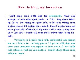 Pectin khoâng hoaø tan Loaïi naøy coøn ñöôïc goïi laø  protopectin.  Nhôø coù protopectin maø caùc quaû xanh coù ñoä cöùng nhaát ñònh. Ngöôøi ta cho raèng khi quaû chín, döôùi taùc ñoäng cuûa protopectinase thì protopectin chuyeån thaønh pectin hoøa tan neân quaû chín thì meàm ra, tuy nhieân chöa coù chöùng minh ñaáy ñuû veà söï toàn taïi cuûa moät enzym ñaëc tröng nhö vaäy. Veà maët caáu truùc hoaù hoïc, protopectin taïo thaønh laø do söï lieân keát nhöõng phaân töû pectin vôùi nhau qua caàu calci, phosphat vaø ngoaøi ra coøn coù söï  keát hôïp vôùi cellulose, vôùi ose vaø moät soá thaønh phaàn khaùc cuûa vaùch teá baøo. 